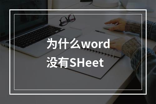 为什么word没有SHeet