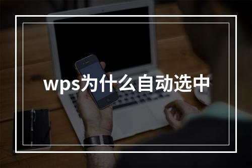 wps为什么自动选中