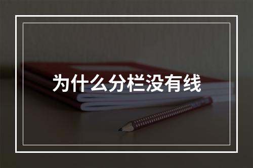 为什么分栏没有线