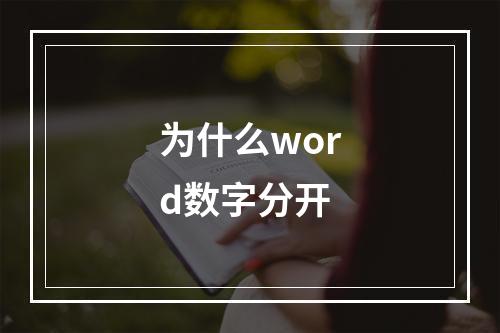 为什么word数字分开