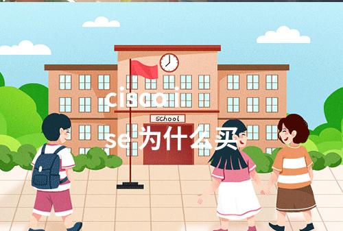 cisco ise 为什么买