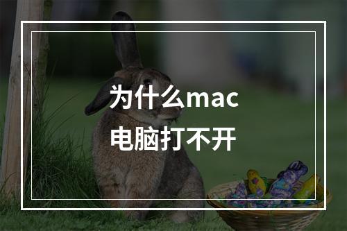为什么mac电脑打不开