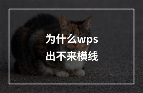 为什么wps出不来横线