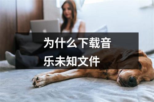 为什么下载音乐未知文件