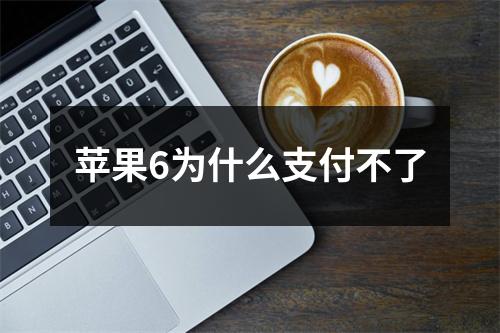 苹果6为什么支付不了