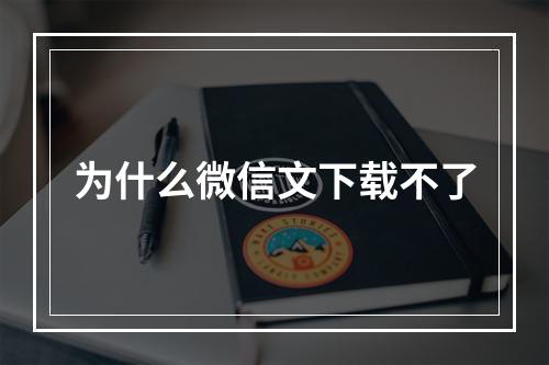 为什么微信文下载不了