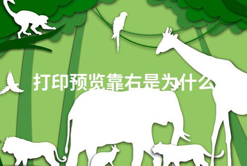 打印预览靠右是为什么