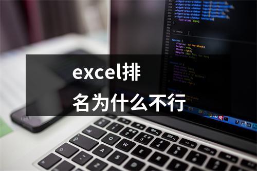 excel排名为什么不行
