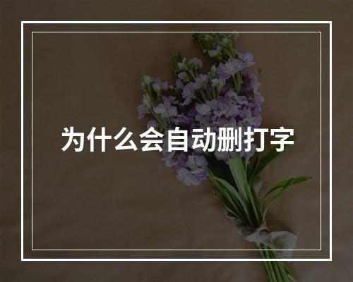 为什么会自动删打字