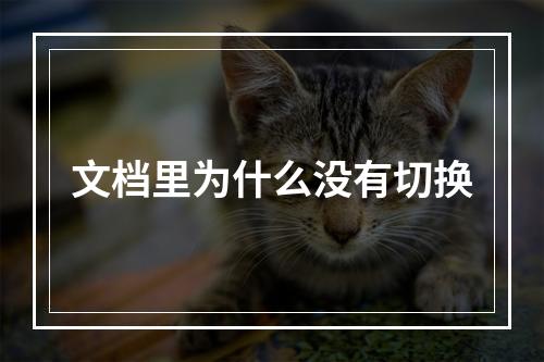 文档里为什么没有切换
