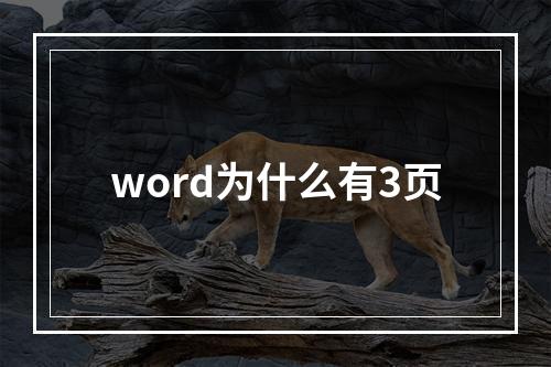 word为什么有3页