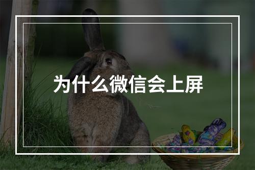 为什么微信会上屏