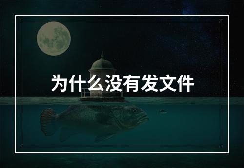 为什么没有发文件