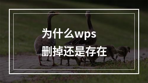 为什么wps删掉还是存在
