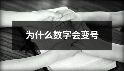 为什么数字会变号