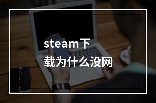 steam下载为什么没网