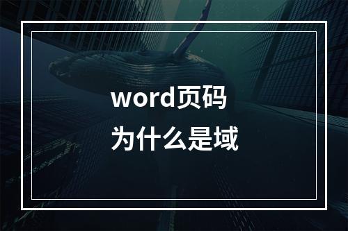 word页码为什么是域