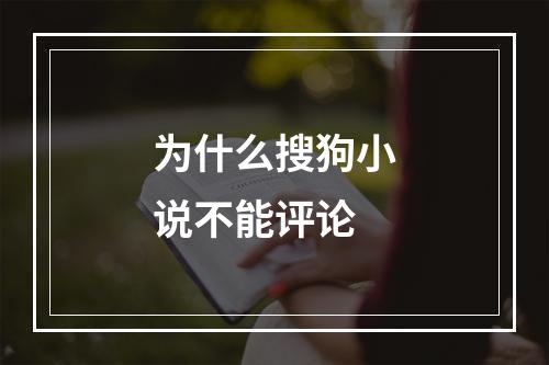 为什么搜狗小说不能评论
