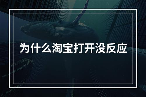 为什么淘宝打开没反应
