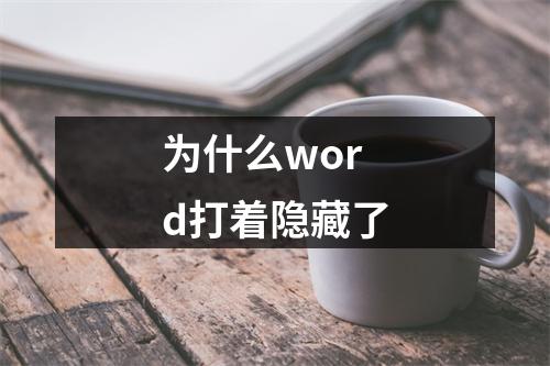 为什么word打着隐藏了