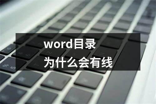word目录为什么会有线