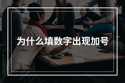 为什么填数字出现加号