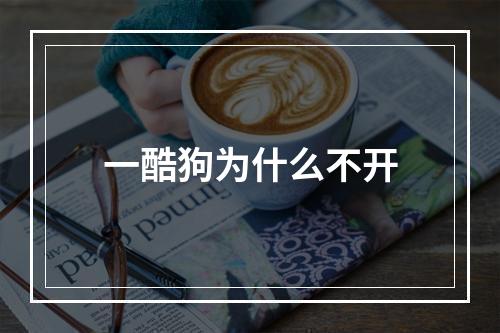 一酷狗为什么不开
