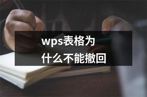 wps表格为什么不能撤回