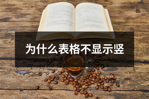 为什么表格不显示竖