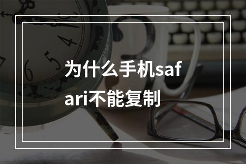 为什么手机safari不能复制
