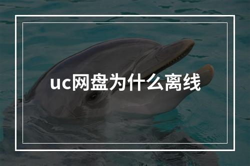 uc网盘为什么离线