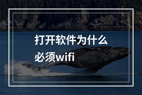 打开软件为什么必须wifi