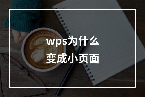 wps为什么变成小页面