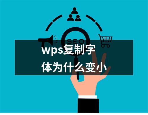 wps复制字体为什么变小