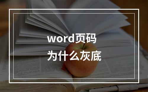 word页码为什么灰底