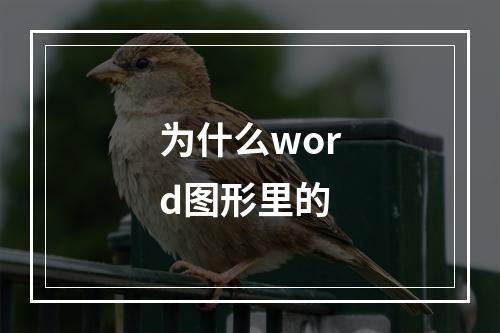 为什么word图形里的