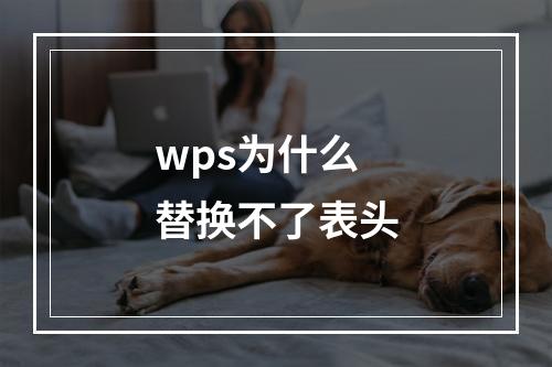wps为什么替换不了表头