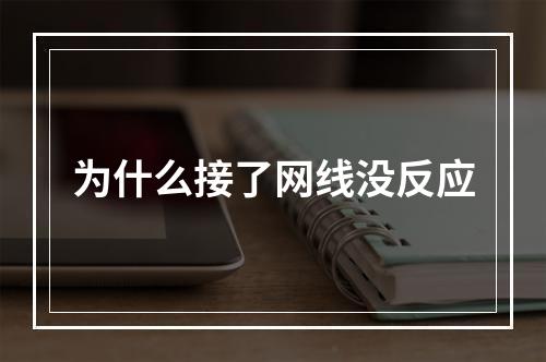 为什么接了网线没反应