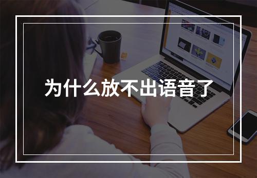 为什么放不出语音了