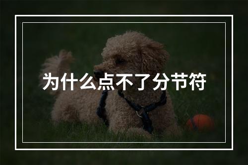 为什么点不了分节符