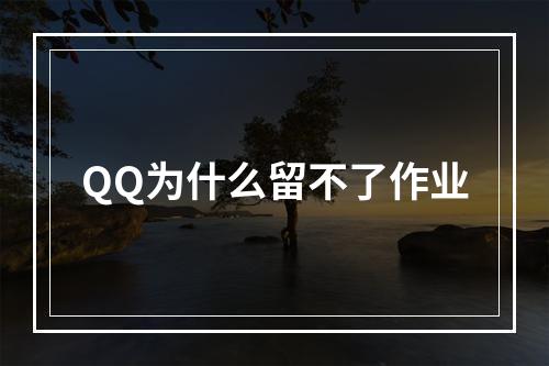 QQ为什么留不了作业
