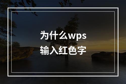 为什么wps输入红色字