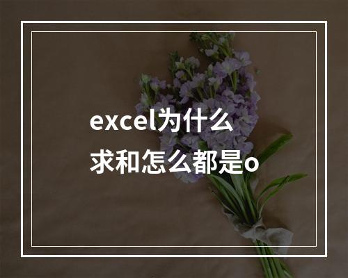 excel为什么求和怎么都是o