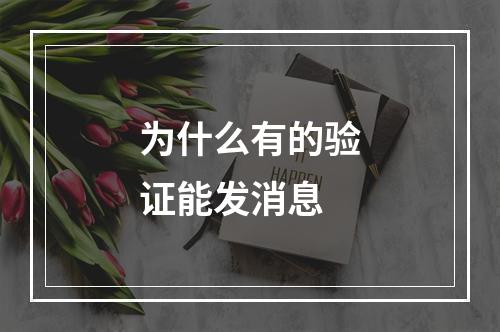 为什么有的验证能发消息