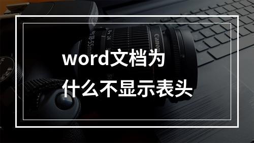 word文档为什么不显示表头