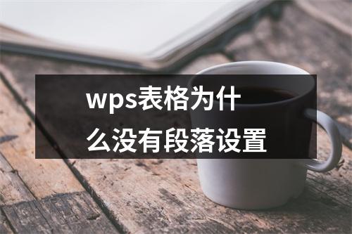 wps表格为什么没有段落设置