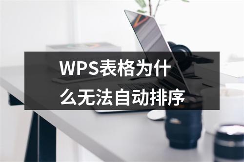 WPS表格为什么无法自动排序