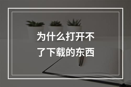 为什么打开不了下载的东西