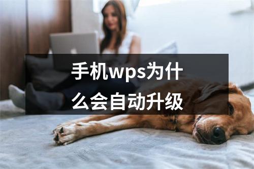 手机wps为什么会自动升级