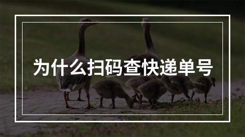 为什么扫码查快递单号